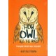 How Owl See The World : Menjadi aktif dan Kreatif