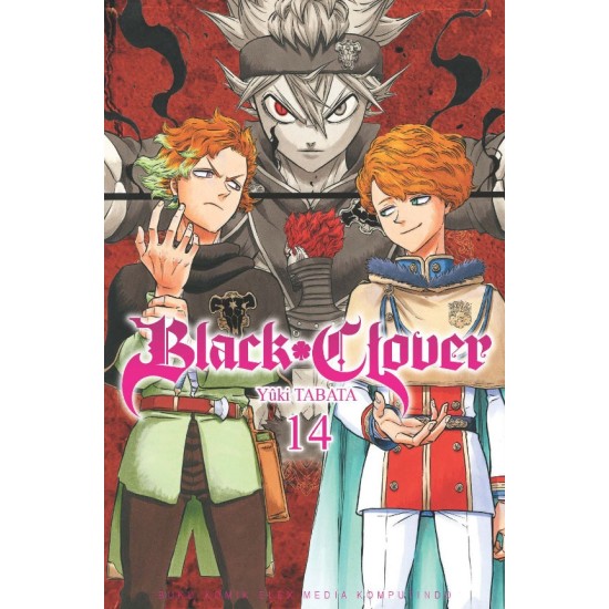 Black Clover 14