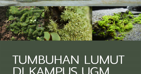 Tumbuhan Lumut Di Kampus Ugm