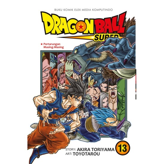 Dragon Ball Super Vol. 13