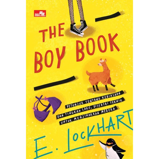 The Boy Book