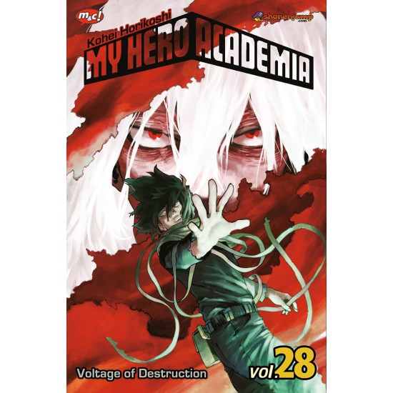 MY HERO ACADEMIA 28