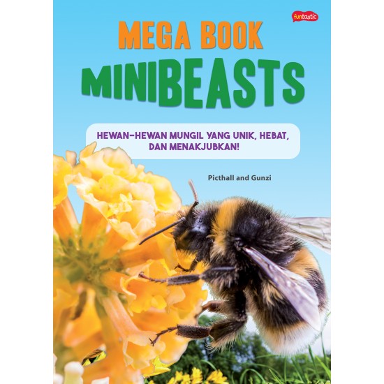 MEGA BOOK - MINIBEASTS