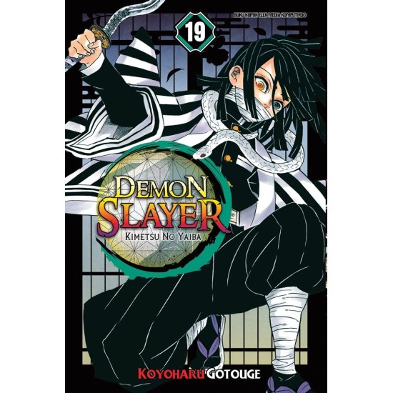 DEMON SLAYER: Kimetsu no Yaiba 19