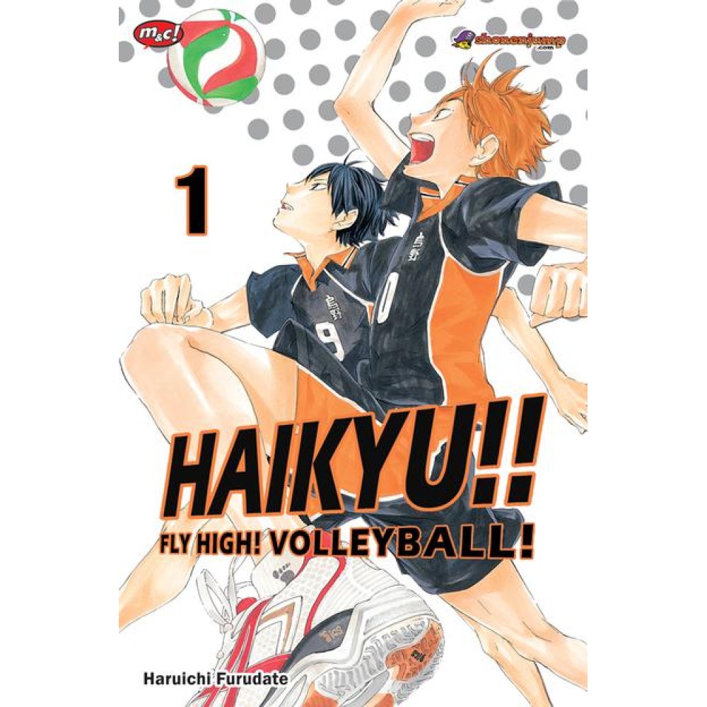 Haikyu Fly High Volleyball 01