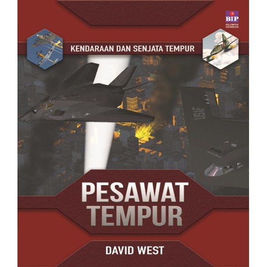 Kendaraan Dan Senjata Tempur : Pesawat Tempur